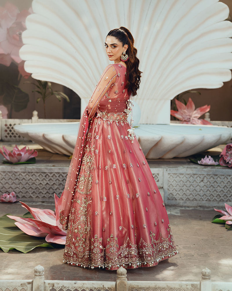 Ain | Naulakha Wedding Festive 24 | AR-142 ZORA - Ladies Clothes 
