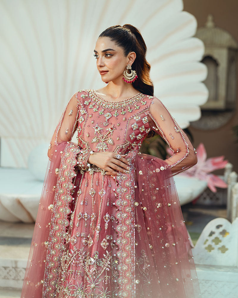 Ain | Naulakha Wedding Festive 24 | AR-142 ZORA - Ladies Clothes 