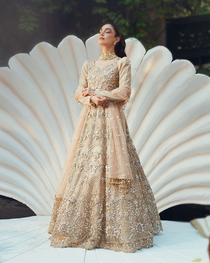 Ain | Naulakha Wedding Festive 24 |  AR-144 SHELL - Ladies Clothes 