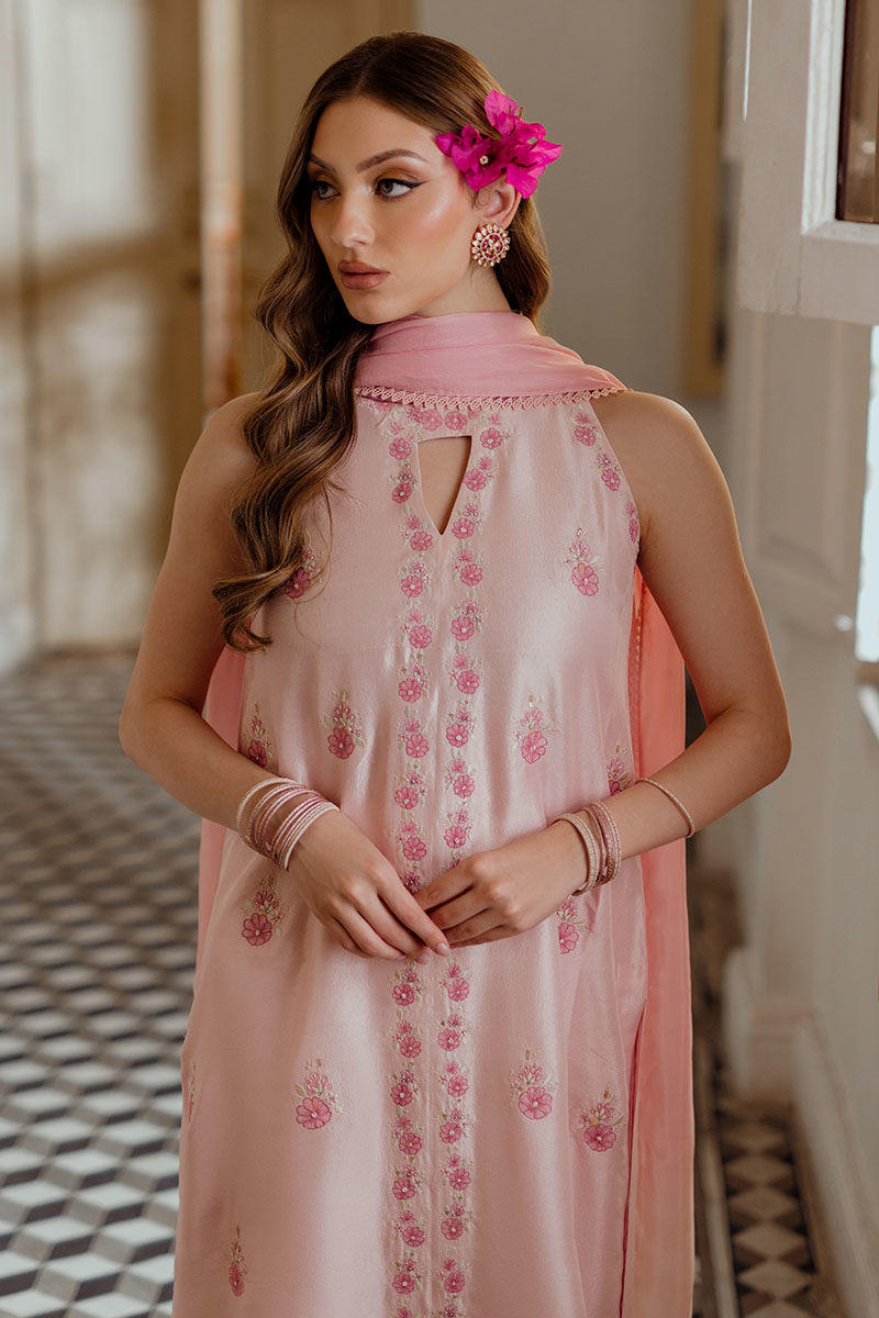 Ansab Jahangir | Luxe Pret Eid 24 | HEMAYAL - Pakistani Dress - Maria Faisal