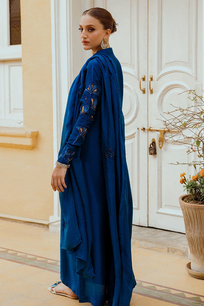 Ansab Jahangir | Luxe Pret Eid 24 | INARA - Pakistani Dress - Maria Faisal