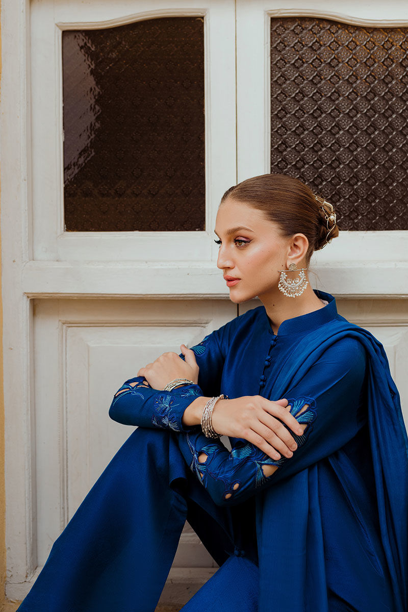 Ansab Jahangir | Luxe Pret Eid 24 | INARA - Pakistani Dress - Maria Faisal