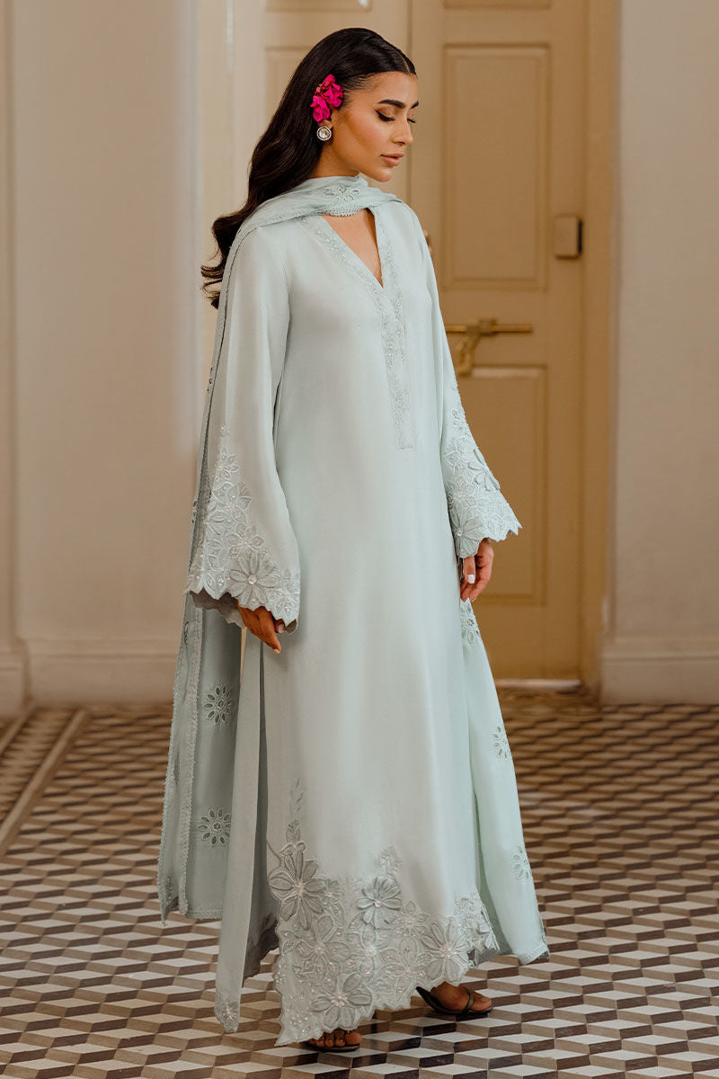 Ansab Jahangir | Luxe Pret Eid 24 | DAANAYA - Pakistani Dress - Maria Faisal