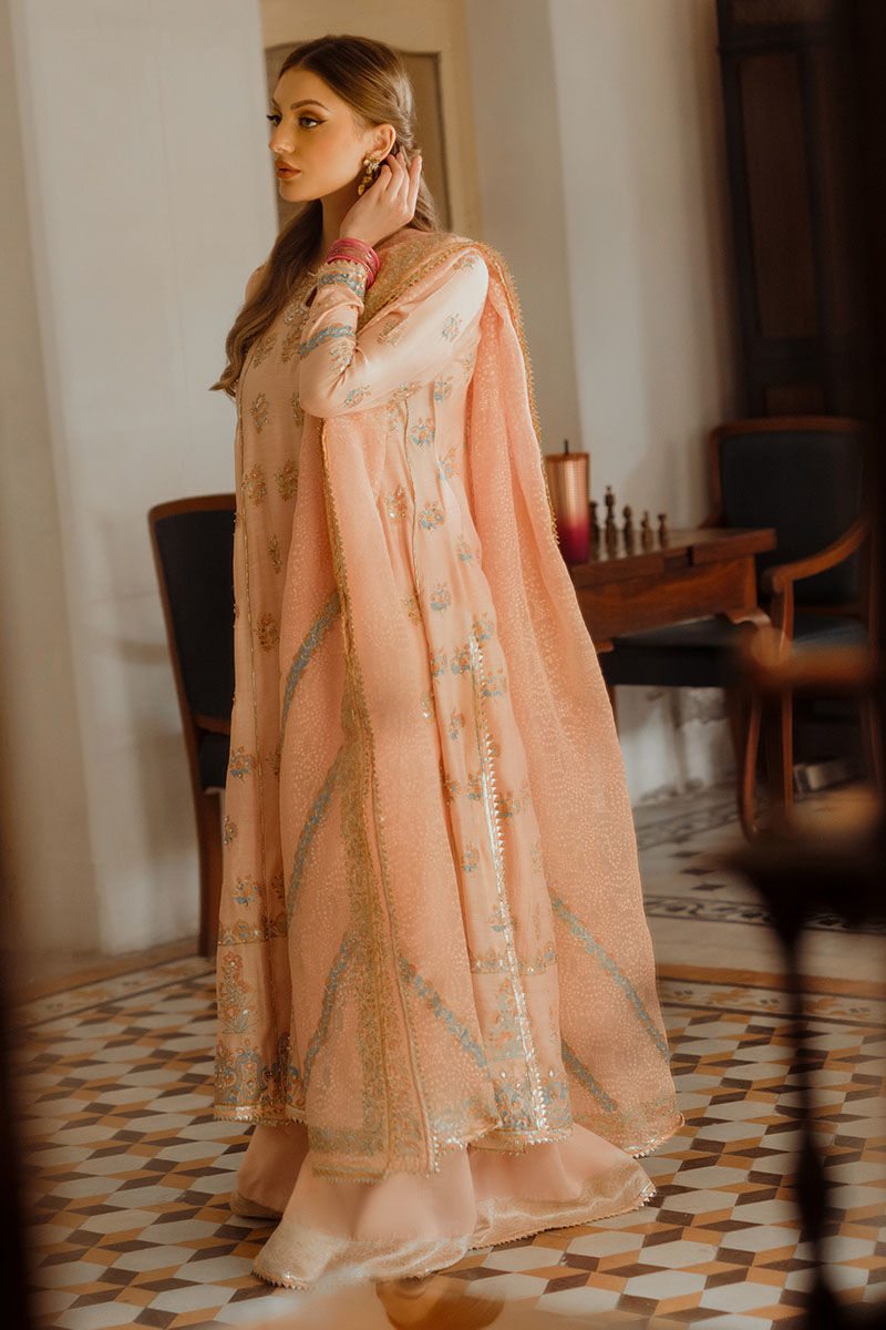 Ansab Jahangir | Luxe Pret Eid 24 | HALA - Pakistani Dress - Maria Faisal