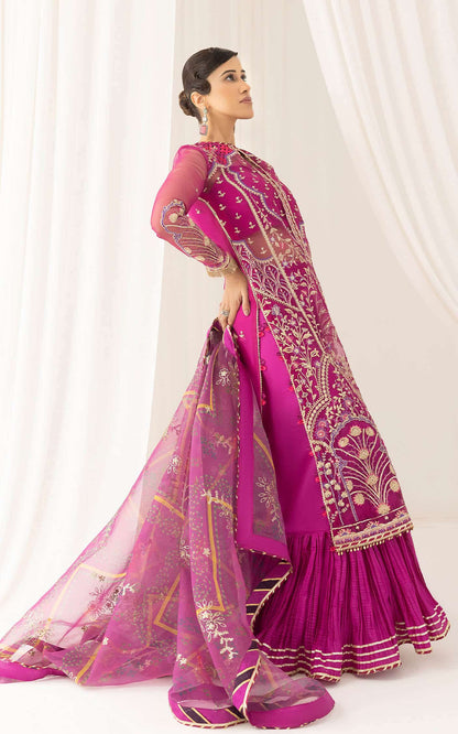 Asifa and Nabeel | Barasti Festive 23 | Raqs (ANB-02)