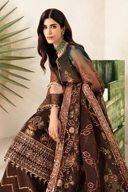 Alizeh | Heer Festive Collection 24 | Hazel - V17D01 - Pakistani Dress - Maria Faisal