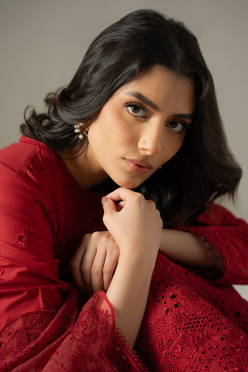 Cross Stitch | Chikankari Lawn 25 | CARMINE GRIS - Ladies Clothes 