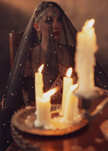 Meeral | Wedding Formals | Anisa by Maria Faisal - Registered Vendor of : Meeral - type : Ladies Clothes - 100% original wedding dresses