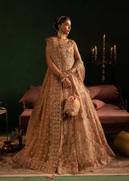 Diara Couture | Onora Wedding Festive | AYLA - WC-2-06 by Maria Faisal - Registered Vendor of : Diara Couture - type : Ladies Clothes - 100% original wedding dresses