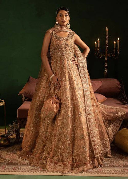 Diara Couture | Onora Wedding Festive | AYLA - WC-2-06 by Maria Faisal - Registered Vendor of : Diara Couture - type : Ladies Clothes - 100% original wedding dresses
