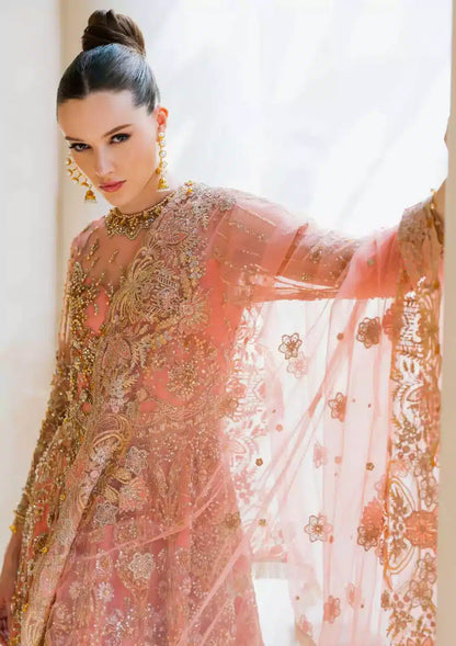 Elaf Premium | Evara Wedding Formals 23 | EEW-03 LAYLA