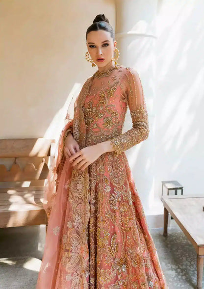 Elaf Premium | Evara Wedding Formals 23 | EEW-03 LAYLA