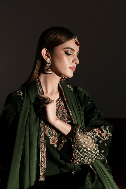 Emaan Adeel | Zarposh Velvet 25 | AARISH - Formal Wear - available at Maria Faisal in UK and USA