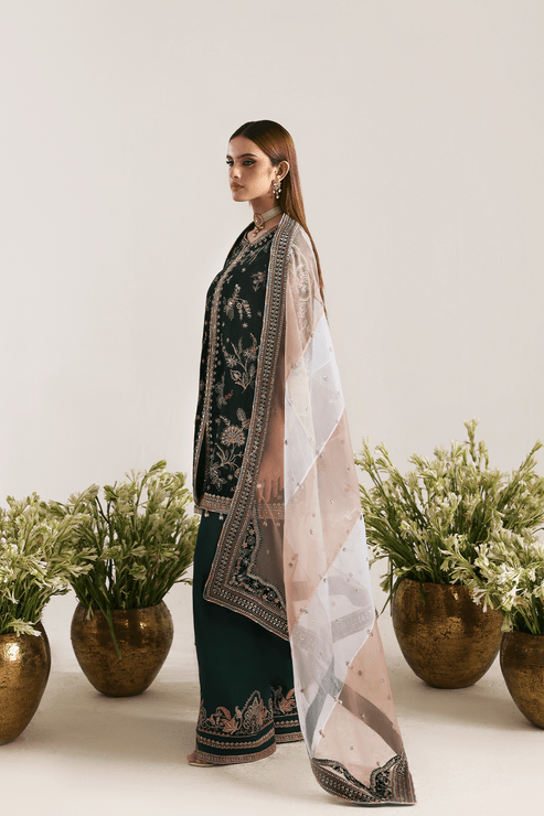 Emaan Adeel | Zarposh Velvet 25 | MEHRUUNISA - Formal Wear - available at Maria Faisal in UK and USA