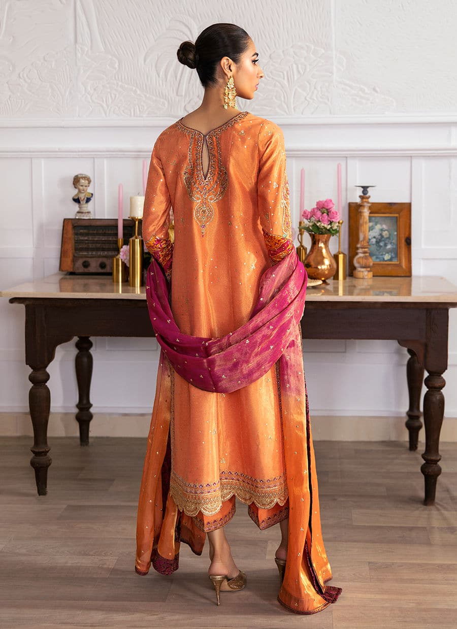 Farah Talib Aziz | Mayna Festive Luxe | ALEEN APRICOT