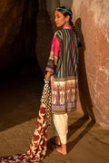 Sana Safinaz | Mahay Spring 24 | H241-027A-2I - Ladies Clothes - Maria Faisal