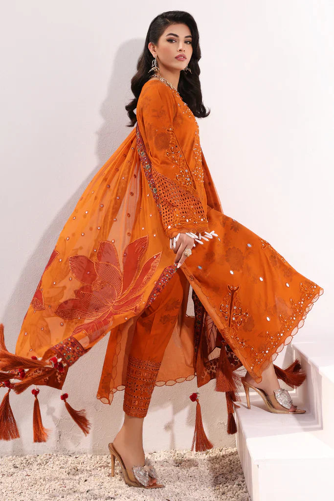 Charizma | Signature Festive 24 | ED-05 - Ladies Clothes - Maria Faisal