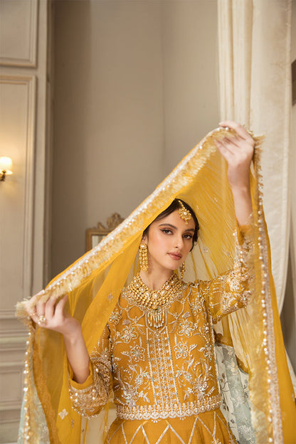 House of Nawab | Luxury Formals | HAZWA B - Ladies Clothes 