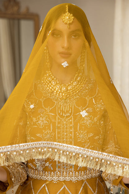 House of Nawab | Luxury Formals | HAZWA B - Ladies Clothes 