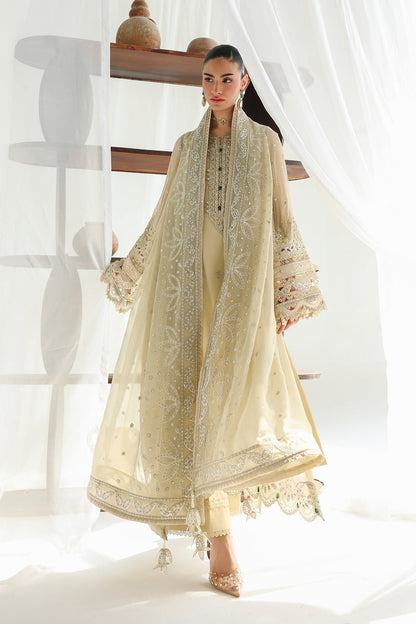 Qalamkar | Chiffon 26 | QCC-01 DEENA - Formal Dress - available at Maria Faisal in UK and USA.