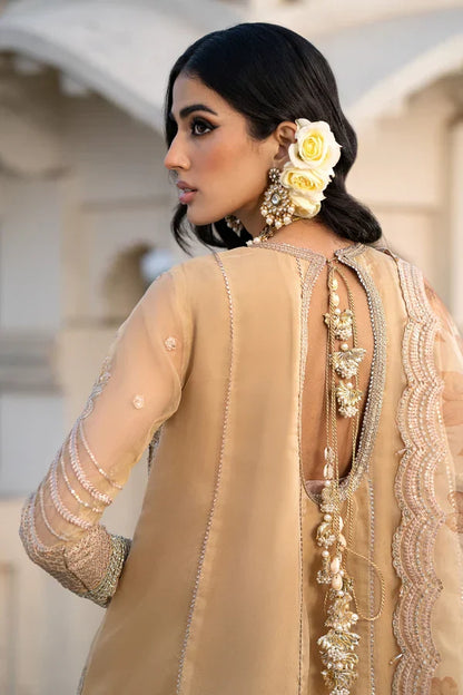 Ittehad | Dilruba Wedding Formals | ESDR78-SUT-BGE - Ladies Clothes 