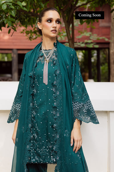 Marjjan | Lovella Winter 25 | MEV-44 B (ZINC) - Ladies Clothes - Maria Faisal