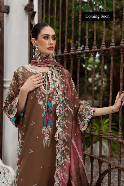 Marjjan | Lovella Winter 25 | MEV-47 B (COFFEE) - Ladies Clothes - Maria Faisal