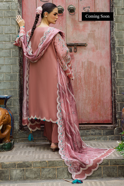 Marjjan | Lovella Winter 25 | MEV-47 A (PINK) - Ladies Clothes - Maria Faisal