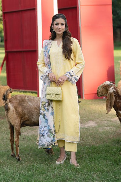 Maryum N Maria | Cosy Crew Winter Pret 25 | GULALI - MSS5768 - Casual Dress - available at Maria Faisal in UK and USA.