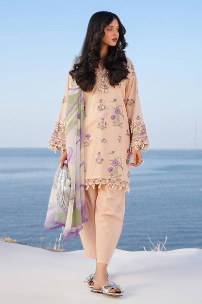 Sana Safinaz | Muzlin Spring 24 | M241-010B-CJ - Ladies Clothes - Maria Faisal