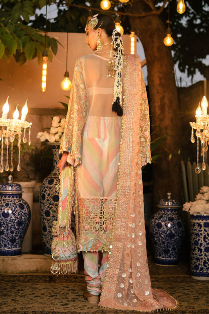 Raeesa Premium | Wajadan Wedding Formals | WD-6 Powder Peach - Designer Dress with Intricate embroidery and embellishments. Shop elegent wedding dress at Maria Faisal.