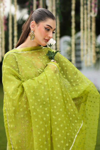 Rangrasiya | Luxe Silk | Radin - Formal Wear - available at Maria Faisal in UK and USA