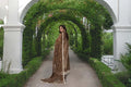 Sable Vogue | Festive Collection | FC-03 - Ladies Clothes - Maria Faisal