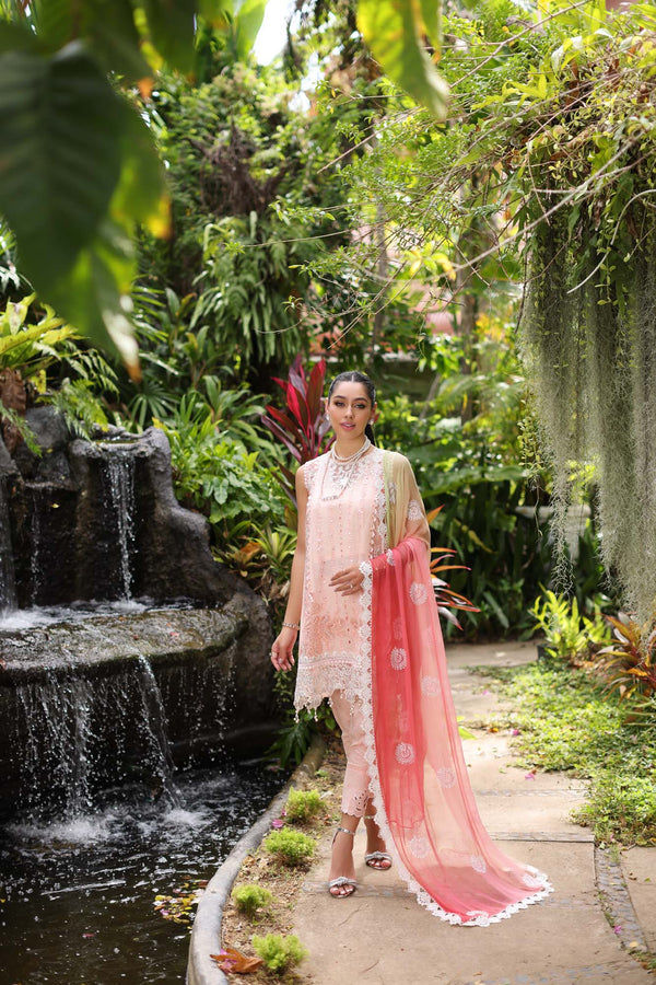 Noor by Saadia Asad | Luxury Chikankari Lawn24 | D7-B Peach Tkm - Ladies Clothes - Maria Faisal