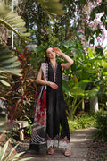 Noor by Saadia Asad | Luxury Chikankari Lawn24 | D6-A Black Laser - Ladies Clothes - Maria Faisal