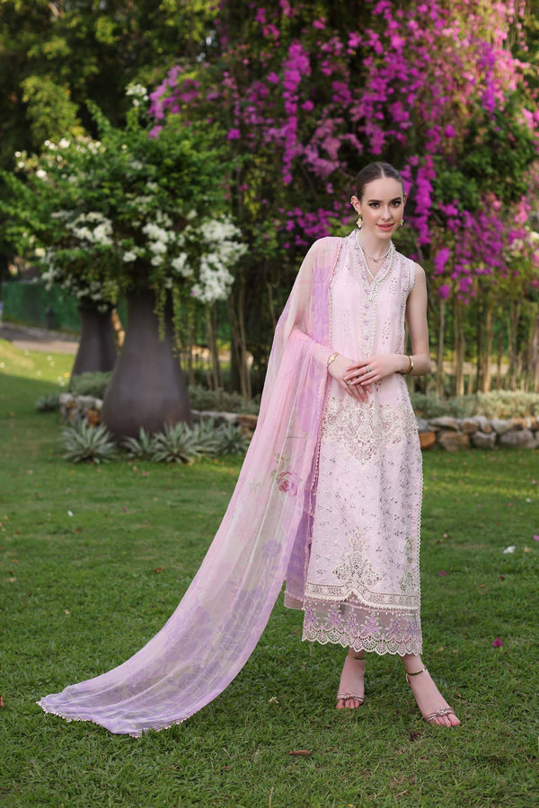 Noor by Saadia Asad | Luxury Chikankari Lawn24 | D11-A Pink Schifli - Ladies Clothes - Maria Faisal