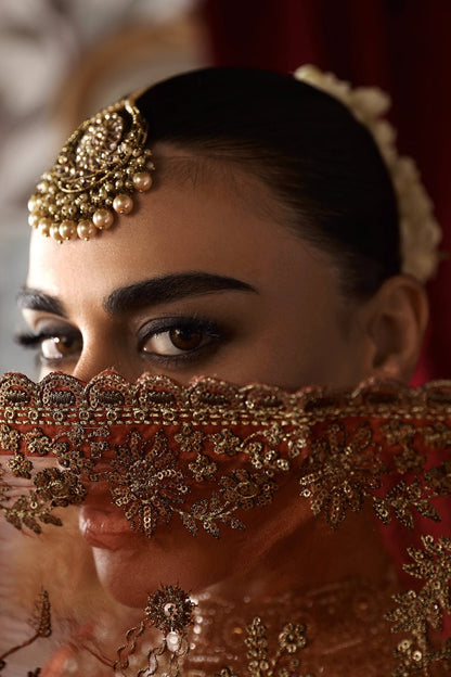 Shagna | Premium Raw Silk | Zarish S - 02 - is Rust dress from Shagna - Ladies Clothes - Maria Faisal