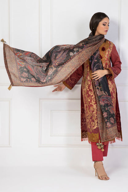 Shamaeel Ansari | Lawn 24 | LV115 - Ladies Clothes 