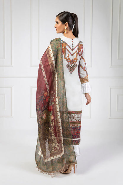 Shamaeel Ansari | Lawn 24 | LV11 - Ladies Clothes 