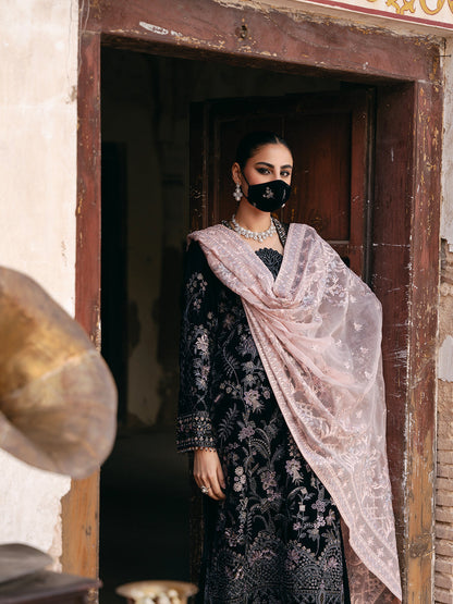Flossie | Siara Velvet Formals | V-103 - A - Ladies Clothes - Maria Faisal
