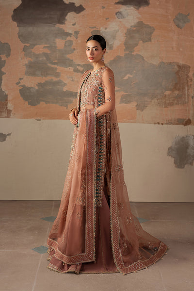 Ayzel | Solaris Wedding Formals 25 | ROSARA - Wedding Dress - available at Maria Faisal in UK and USA.