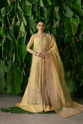 Ayzel | Pehli Nazar 25 |Chahat - Ladies Clothes - Maria Faisal