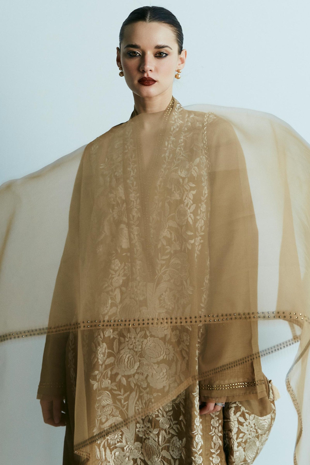 Zara Shahjahan | Festive Eid 24 | ZC-2023 - Waniyas