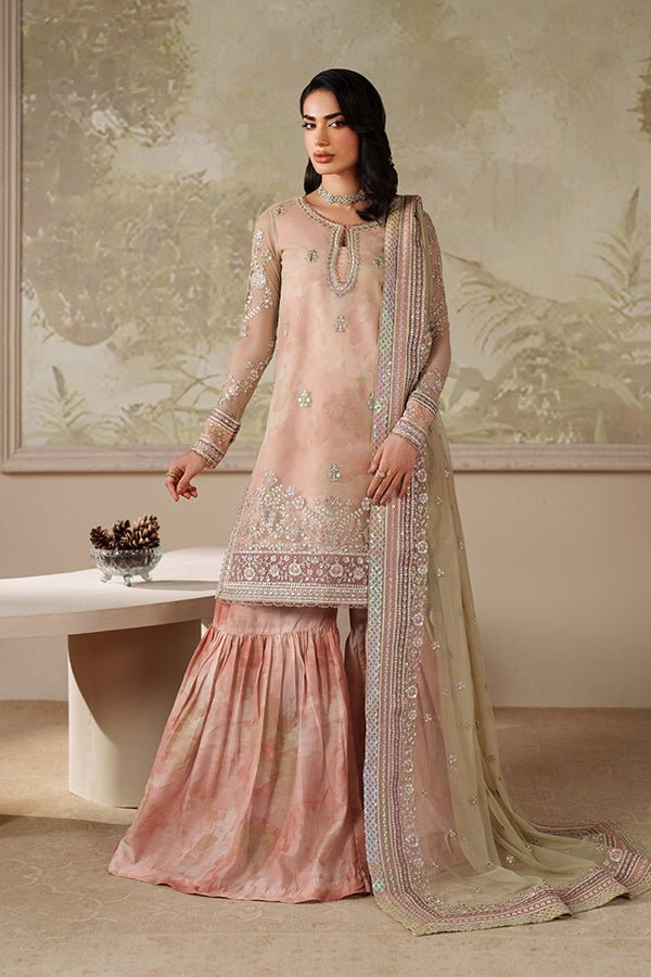 Zarif | Zaneera Formals | ZRF - ZPE - 04 SERIYAH - is Net dress from Zarif - Ladies Clothes - Maria Faisal