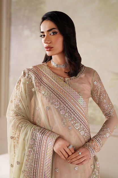 Zarif | Zaneera Formals | ZRF - ZPE - 04 SERIYAH - is Net dress from Zarif - Ladies Clothes - Maria Faisal